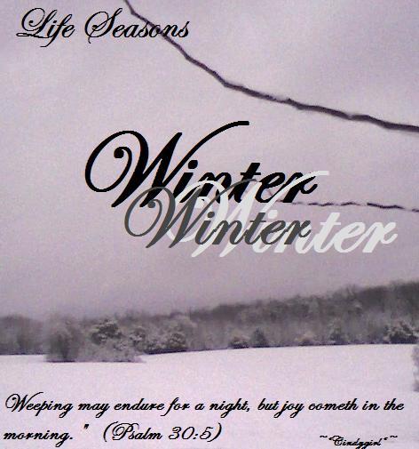 Life Seasons in David's Life - Winter, by CindyGirl