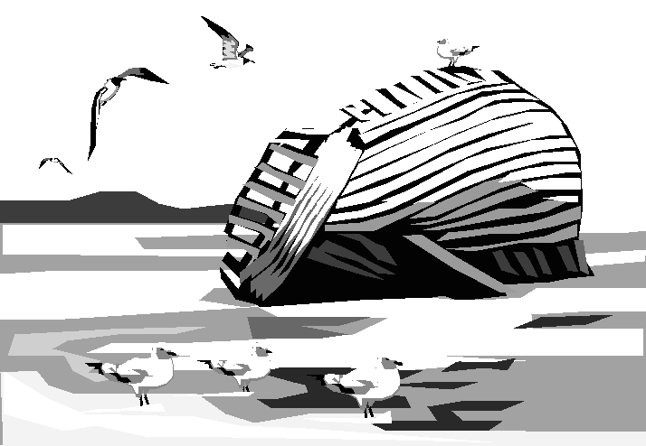 Shipwreck!, by Lisa DeVinney